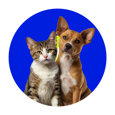 Mascotas