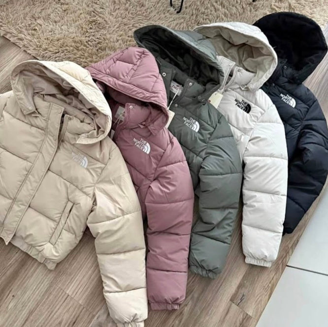 CHAQUETA THE NORTH FACE🧥 Aventura sin límites ❄️ COMPRANDO 2 ¡SÓLO PAGARÁS 270!